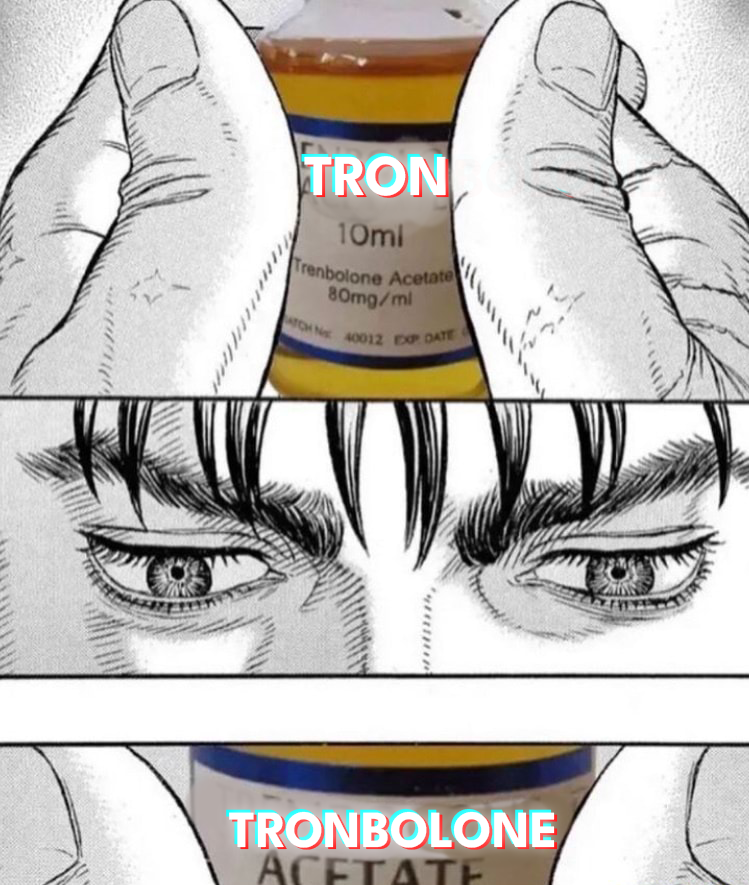 t3
